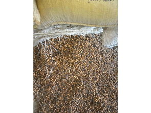 益生菌發(fā)酵大豆廠家,性價(jià)比高的受損大豆就在蔬香果語生物科技