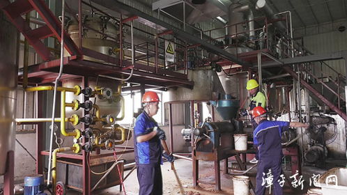 變廢為寶增效率,漳平推進(jìn)資源節(jié)約促綠色發(fā)展