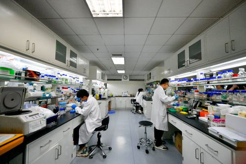 科技 二氧化碳再變身 中國(guó)科學(xué)家實(shí)現(xiàn)重大突破