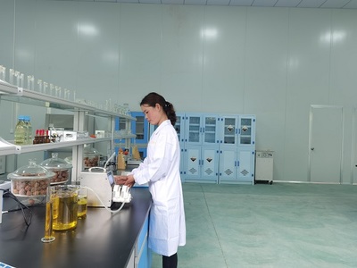 重慶城口核桃精深加工項(xiàng)目投產(chǎn) 3萬(wàn)農(nóng)戶增收