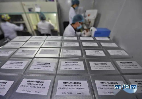 只有源頭創(chuàng)新，才能突破醫(yī)療器械領域“掐脖子”問題——專訪生物醫(yī)學工程專家樊瑜波